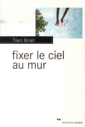 Couverture du livre « Fixer le ciel au mur » de Tieri Briet aux éditions Rouergue