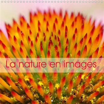 Couverture du livre « La nature en images calendrier mural 2020 300 300 mm square - la nature au fil des saisons e » de Yaffee David aux éditions Calvendo