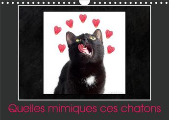 Couverture du livre « Quelles mimiques ces chatons calendrier mural 2020 din a4 horizontal - un calendrier plein d humour » de Kathy Mahevo aux éditions Calvendo