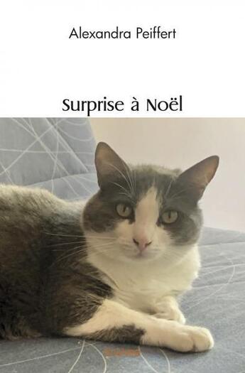 Couverture du livre « Surprise a noel » de Peiffert Alexandra aux éditions Edilivre