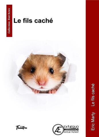 Couverture du livre « Le fils caché » de Eric Marty aux éditions Ex Aequo