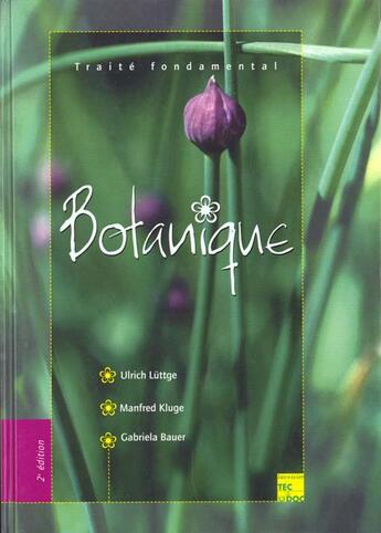 Couverture du livre « Botanique : traite fondamental (2. ed) » de Luttge Ulrich aux éditions Tec Et Doc