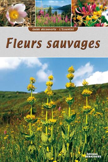 Couverture du livre « Guide découverte fleurs sauvages » de Graveline et Debaisieux aux éditions Debaisieux