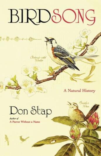 Couverture du livre « Birdsong » de Stap Don aux éditions Scribner
