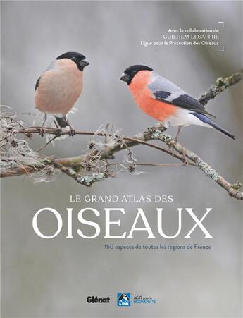 Couverture du livre « Le grand atlas des oiseaux : 150 espèces de toutes régions de France » de Guilhem Lesaffre et . Collectif aux éditions Glenat