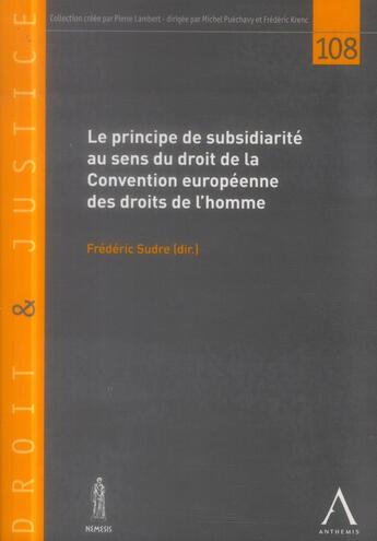 Couverture du livre « Le principe de la subsidiarité au sens du droit de la Convention européenne des droits de l'homme » de  aux éditions Anthemis