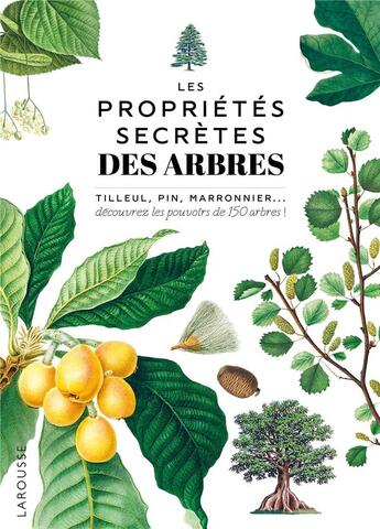 Couverture du livre « Les propriétés secrètes des arbres » de Noel Kingsbury aux éditions Larousse