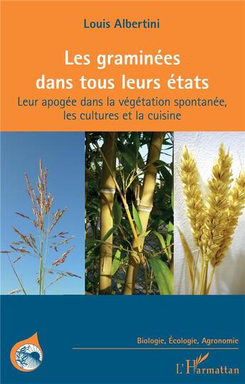 Couverture du livre « Les graminées dans tous leurs états : leur apogée dans la végétation spontanée, les cultures et la cuisine » de Louis Albertini aux éditions L'harmattan