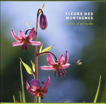 Couverture du livre « Fleurs des montagnes ; belles d'altitude » de Bertrand Bodin aux éditions Glenat