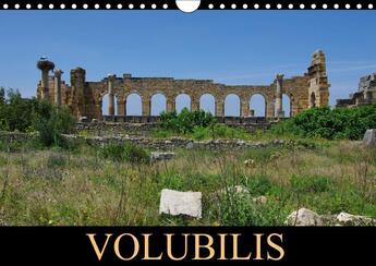 Couverture du livre « Volubilis ; calendrier mural 2017 din A4 horizontal » de Beziers Alain aux éditions Calvendo