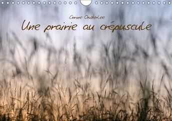 Couverture du livre « Une prairie au crepuscule calendrier mural 2018 din a4 horiz - beaute des graminees calendrie » de Oosterlee C aux éditions Calvendo