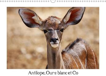 Couverture du livre « Antilope ours blanc et co calendrier mural 2020 din a3 horizontal - animaux a l etat sauvage calen » de Zeller Et Chri aux éditions Calvendo