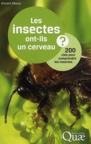 Couverture du livre « Les insectes ont-ils un cerveau ? 200 clés pour comprendre les insectes » de Vincent Albouy aux éditions Quae