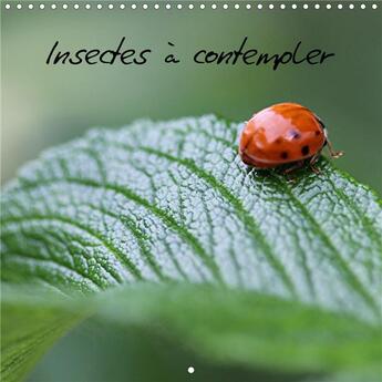 Couverture du livre « Insectes a contempler calendrier mural 2020 300 300 mm square - images d insectes butinants ca » de Brillard Thierr aux éditions Calvendo