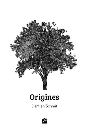 Couverture du livre « Origines » de Damien Schmit aux éditions Editions Du Panthéon