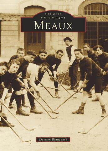 Couverture du livre « Meaux » de Damien Blanchard aux éditions Editions Sutton