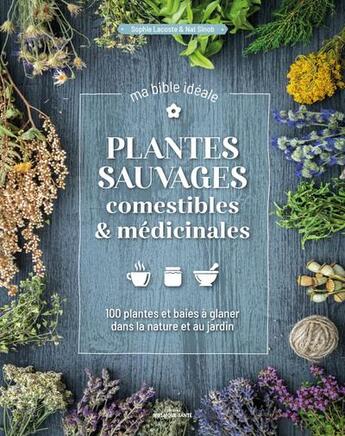 Couverture du livre « Plantes sauvages comestibles & médicinales, ma bible idéale : 120 plantes & baies à glaner dans la nature & au jardin » de Sophie Lacoste et Nat Sinob aux éditions Mosaique Sante