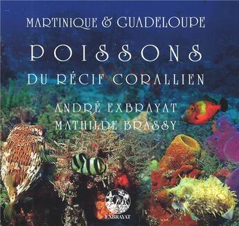 Couverture du livre « Martinique et Guadeloupe ; poissons du récif corallien » de Andre Exbrayat et Mathilde Brassy aux éditions L'harmattan