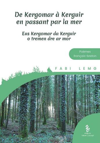 Couverture du livre « De Kergomar à Kerguir en passant par la mer : eus Kergomar da Kerguir o tremen dre ar mor » de Fabi Lemg aux éditions Yellow Concept