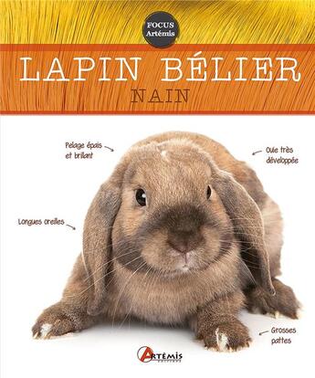 Couverture du livre « Lapin bélier nain » de Nathalie Semenuik aux éditions Artemis