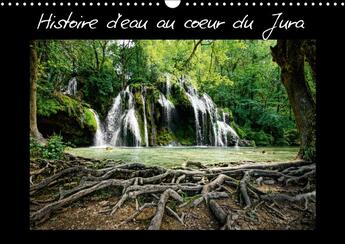 Couverture du livre « Histoire d eau au coeur du jura calendrier mural 2018 din a3 - chutes d eau au coeur de la re » de Seidler J aux éditions Calvendo