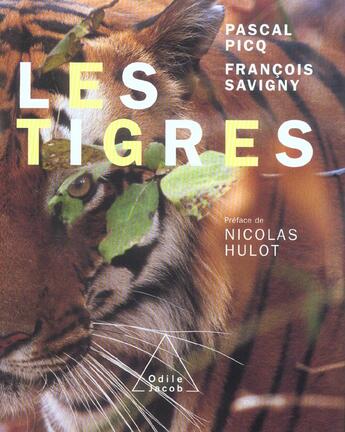 Couverture du livre « Les tigres » de Pascal Picq et Francois Savigny aux éditions Odile Jacob