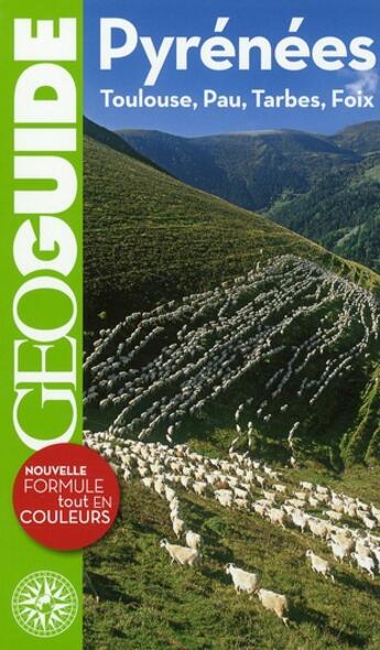 Couverture du livre « GEOguide ; Pyrénées ; Toulouse, Pau, Tarbes, Foix (3e édition) » de  aux éditions Gallimard-loisirs