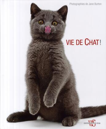 Couverture du livre « Vide de chat ! » de Manferto De Fabianis aux éditions White Star