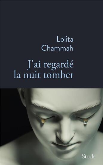 Couverture du livre « J'ai regardé la nuit tomber » de Lolita Chammah aux éditions Stock