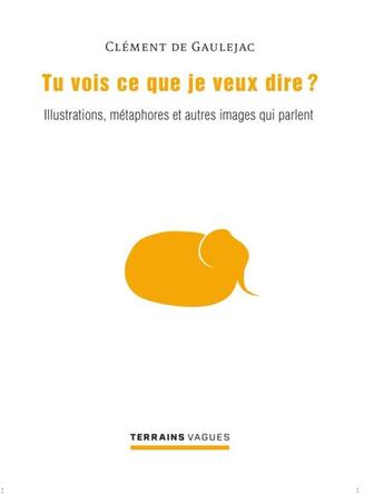 Couverture du livre « Tu vois ce que je veux dire ? illustrations, métaphores et autres images qui parle » de Clement De Gaulejac aux éditions Pu De Montreal