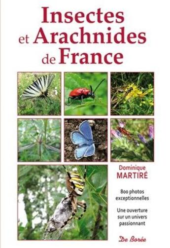 Couverture du livre « Insectes et arachnidés de France » de Dominique Martire aux éditions De Boree