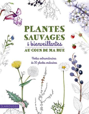 Couverture du livre « Plantes sauvages et bienveillantes au coin de ma rue ; vertus extraordinaires de 50 plantes ordinaires » de  aux éditions Larousse