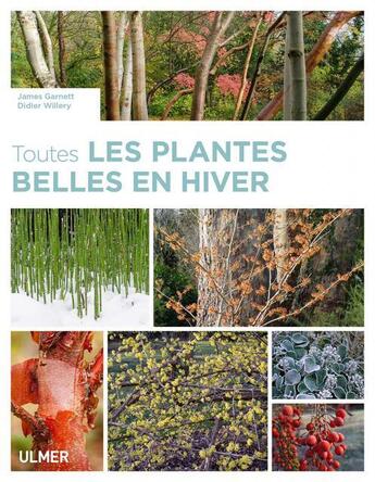 Couverture du livre « Toutes les plantes belles en hiver » de Didier Willery et James Garnett aux éditions Eugen Ulmer