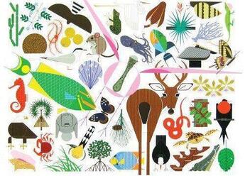 Couverture du livre « Charley harper's animal kingdom » de Harper Charley aux éditions Ammo