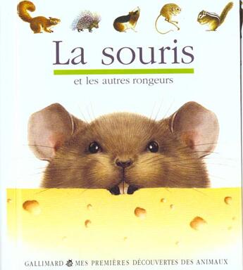 Couverture du livre « La souris » de Peyrols aux éditions Gallimard-jeunesse