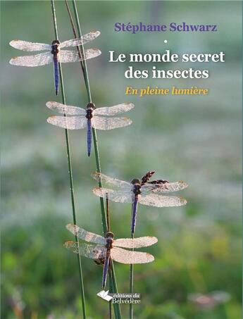 Couverture du livre « Le monde secret des insectes ; en pleine lumière » de Stephane Schwarz aux éditions L'harmattan