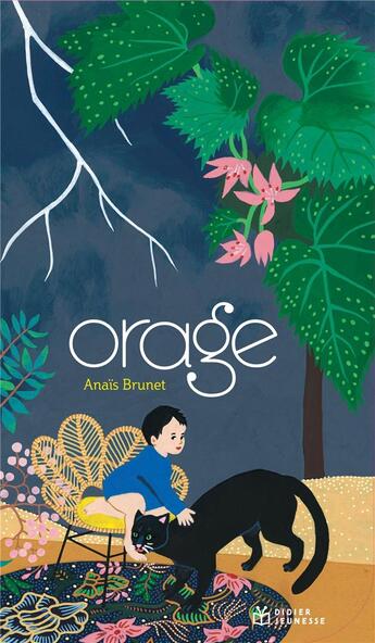 Couverture du livre « Orage » de Anais Brunet aux éditions Didier Jeunesse