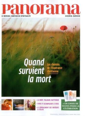 Couverture du livre « Quand survient la mort ; les chemins de l'espérance chrétienne » de Revue Panorama aux éditions Bayard Presse