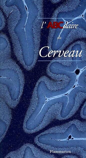 Couverture du livre « L'abcdaire du cerveau » de Gilles Le Pape aux éditions Flammarion