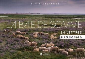 Couverture du livre « La baie de Somme ; en lettres et en images » de David Delannoy aux éditions Bonneton