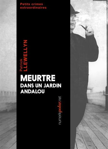 Couverture du livre « Meurtre dans un jardin andalou » de Llewellyn Patrick aux éditions Numeriklivres