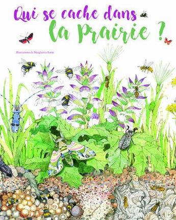 Couverture du livre « Qui se chache dans la prairie ? » de Margherita Borin aux éditions National Geographic Kids