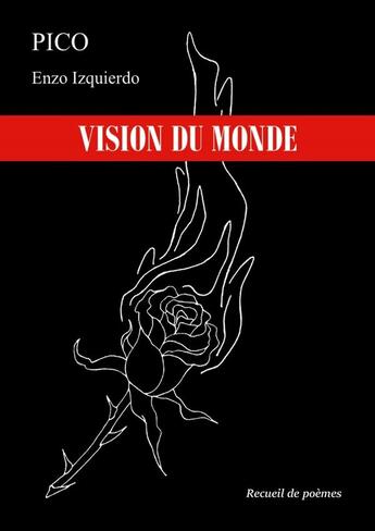 Couverture du livre « VISION DU MONDE » de Pico Enzo Izquierdo aux éditions Lulu