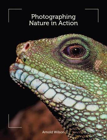 Couverture du livre « Photographing Nature in Action » de Wilson Arnold aux éditions Crowood Press Digital