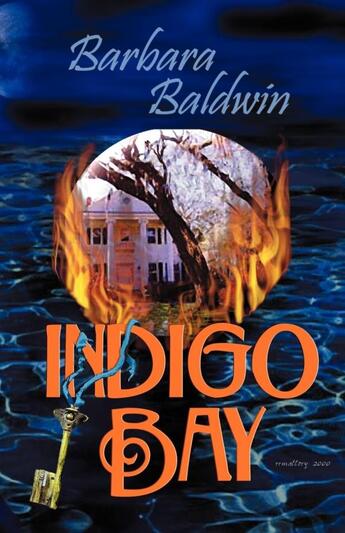 Couverture du livre « Indigo bay » de Baldwin Barbara aux éditions Bellebooks