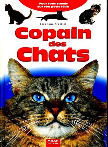 Couverture du livre « Copain des chats » de Stephane Frattini aux éditions Milan