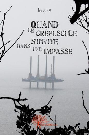 Couverture du livre « Quand le crepuscule s'invite dans une impasse » de De 3 Ln aux éditions Edilivre