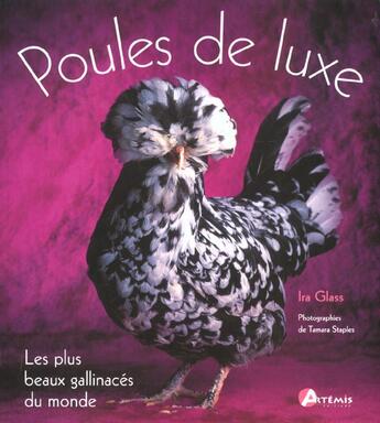 Couverture du livre « Les Poules De Luxe » de I Glass aux éditions Artemis