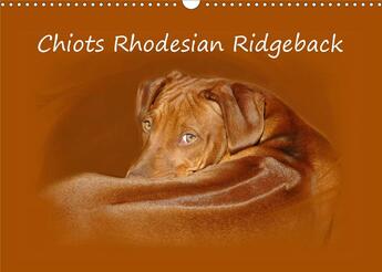 Couverture du livre « Chiots rhodesian ridgeback calendrier mural 2020 din a3 horizontal - photographies de chiots de rho (édition 2020) » de Van Wyk Www.G aux éditions Calvendo