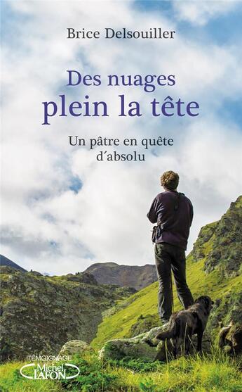 Couverture du livre « Des nuages plein la tête » de Brice Delsouiller et Paul Iratzoquy aux éditions Michel Lafon